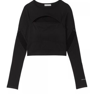 🐸 Victoria’s Secret PINK mesh long- sleeve crop top